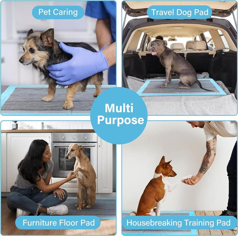 Super-Absorbent Waterproof Dog & Cat and Puppy Pet Training Pad, Housebreaking Pet Pad, 100-Count Small-Size