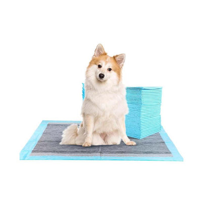 Super-Absorbent Waterproof Dog & Cat and Puppy Pet Training Pad, Housebreaking Pet Pad, 100-Count Small-Size
